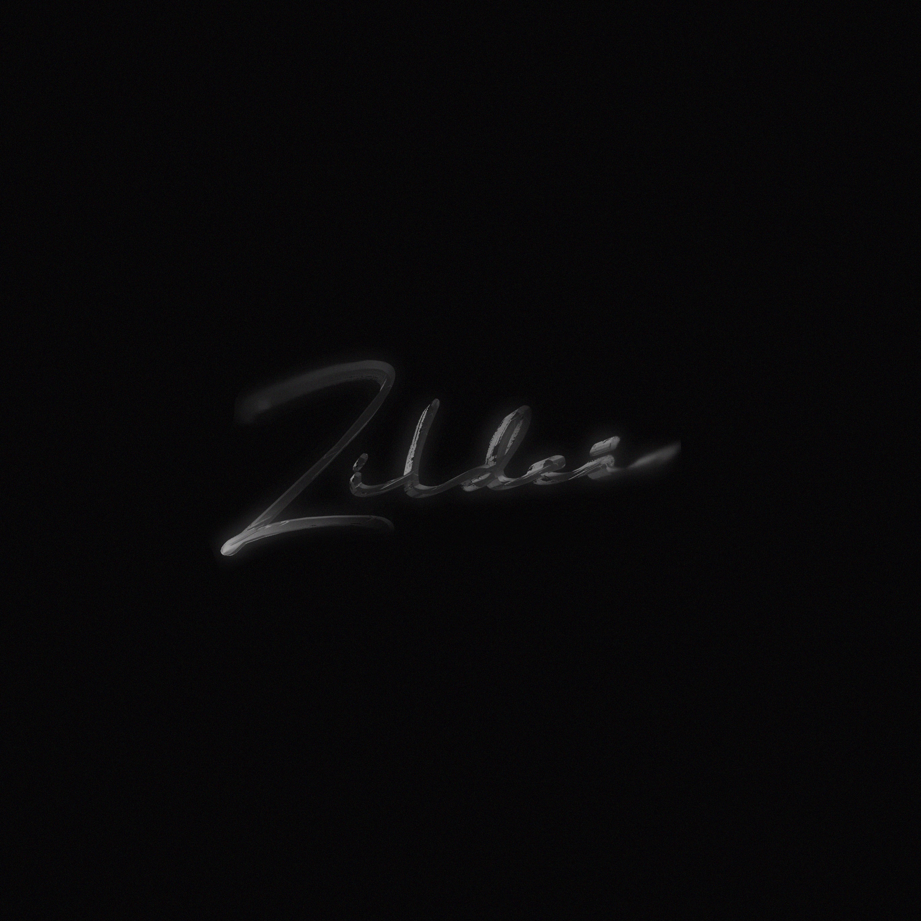 zildei - Single