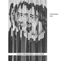 Everything Means Nothing To Me - Single - Noah Preminger & Max Light
