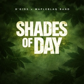 Shades of Day (feat. MapleBlaq Band) D'Gids