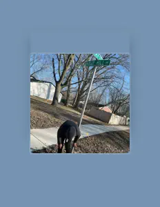 聆聽 lulaavi23、觀看音樂影片、閱讀小傳、查看巡演日期等！