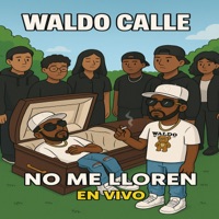 No Me Lloren (En Vivo) - Single - Waldo Calle