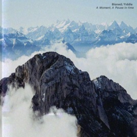 Green and Grey Blaned & Yiddle