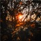 Rest Assured (feat. Amanda Bergman) - Old Sea Brigade lyrics