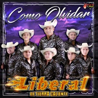 Como Olvidar - Single - Liberal de Tierra Caliente