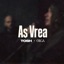 As vrea (feat. Olga Verbitchi) - Single