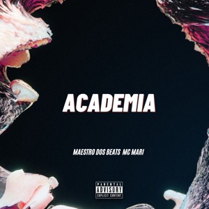 Academia (feat. Forró Hits & Hits Do Brasil)