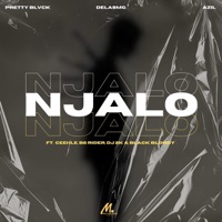Njalo (feat. DJ 2K, Black Blondy, B6 Rider & Ceehle) - Single - Pretty Blvck, Azil & Delasmg