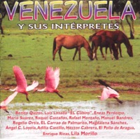 El Gavilan Pico Rosado