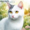 Kira - Tarab Music lyrics