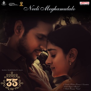 Neeli Meghamulalo (From