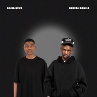 Pink Panther 2 (feat. Flame Nation, D-MINOR, Driip Bwoy & KelvinSlave) - Single - Sgija Keys & Dereal Bonile