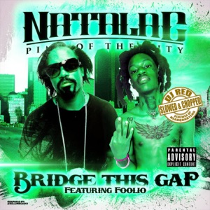 Bridge This Gap (feat. Foolio & DJ Red) [Slowed and Chopped]