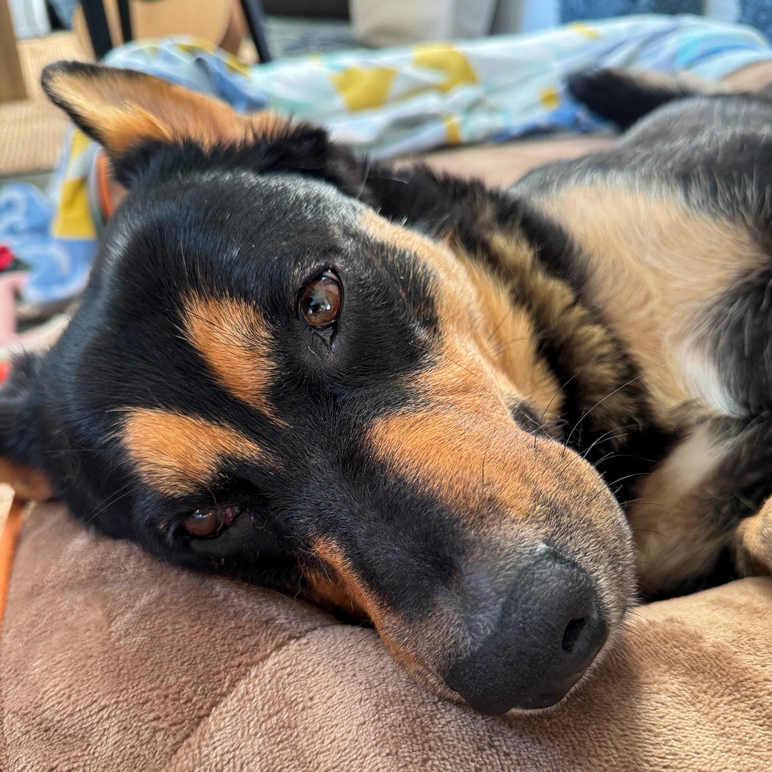 In Every Photograph - Single