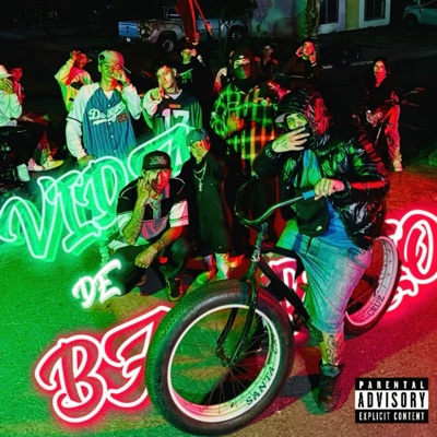 Vida De Barrio (feat. Pade, Wuicho Nt & NACHO NT) - Single