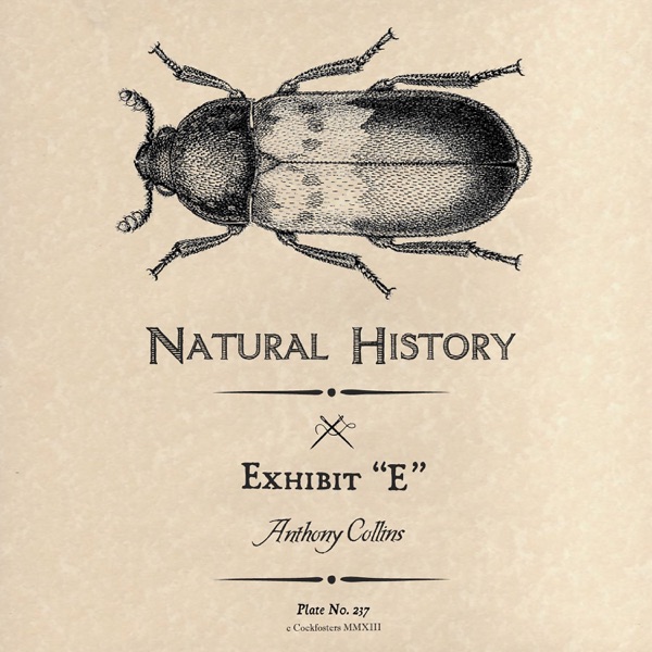 Exhibit "E" - Single