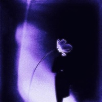 RECIPE - Single - stillnate