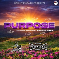 Purpose (feat. Propaganda & Eugene O'neil) - Single - Noa James