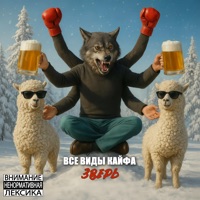 Зверь - Все виды кайфа