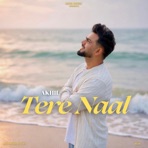 Tere Naal - Single
