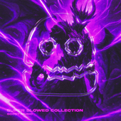 SUPER SLOWED COLLECTION, Vol. 1