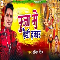 Pooja Me Dai Chhee Hakar - Single - Anil Singh