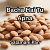 Salamani Pan - Bacha Hai Tu Apna