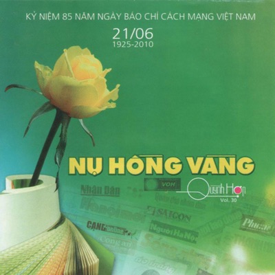 Nụ Hồng Vàng