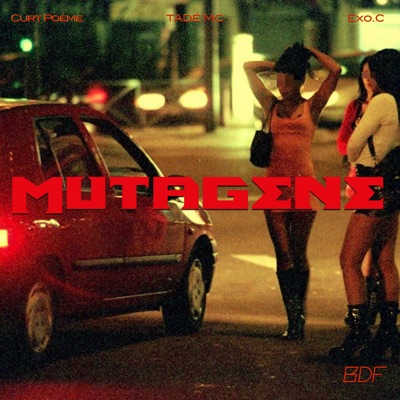 BDF (feat. Tadé MC & Roger Rabeat) - Single