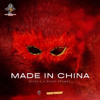 Made In China - Single - Ricky T & Dhirv 2funny