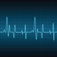 Apple Music Presents: LIL-ZOELLNER's 