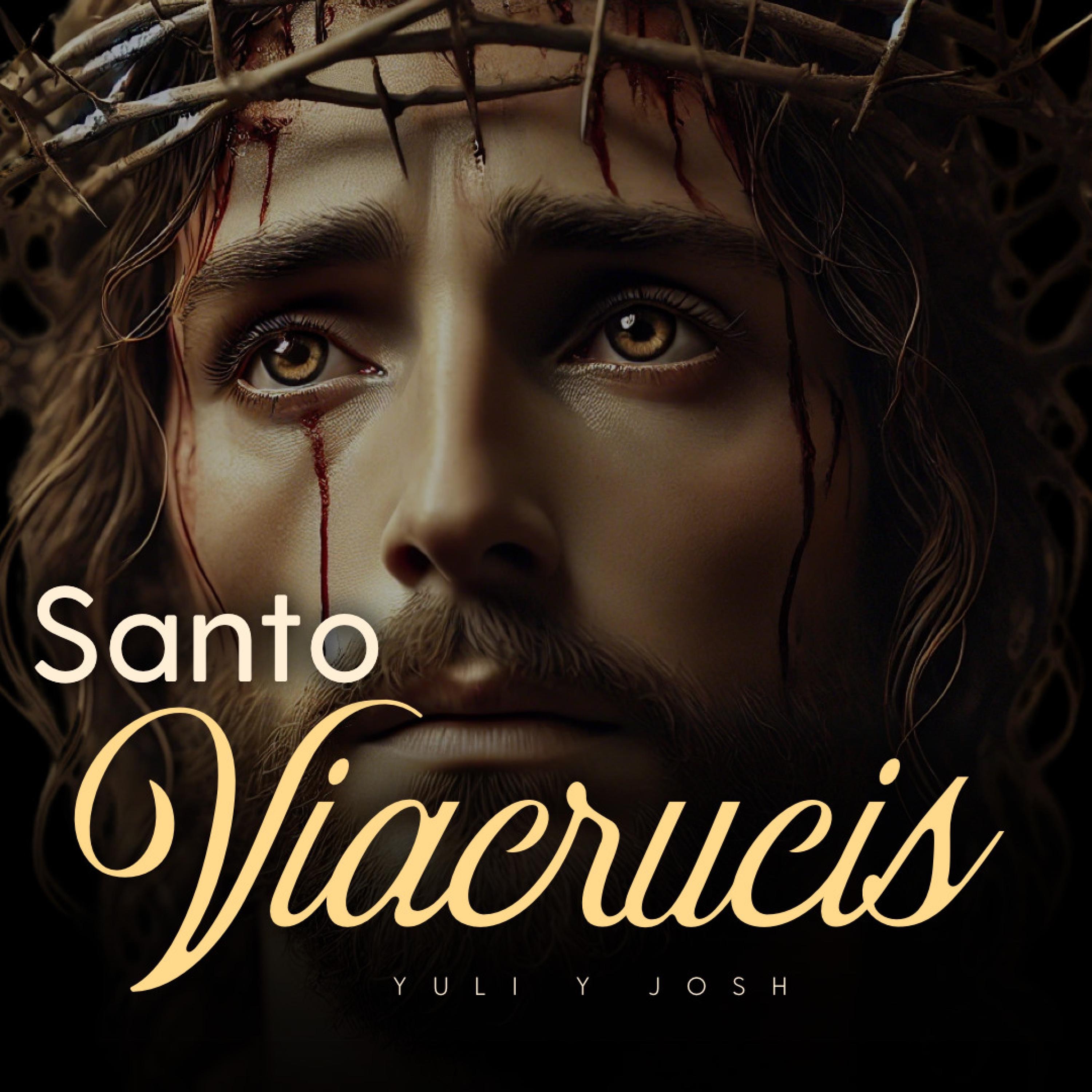 Viacrucis Meditado, La Pasión de Cristo (El camino de la Cruz)