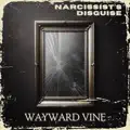 Narcissist's Disguise