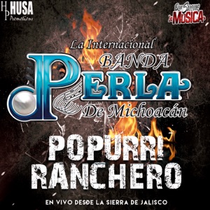 Popurrí Ranchero: Una Vez Más / Déjenme Si Estoy Llorando / Nunca Voy a Olvidarte (En Vivo) - Single