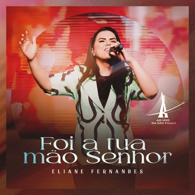 Foi a Tua Mão Senhor - Ao Vivo em São Paulo - Single