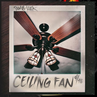 Ceiling Fan - Single