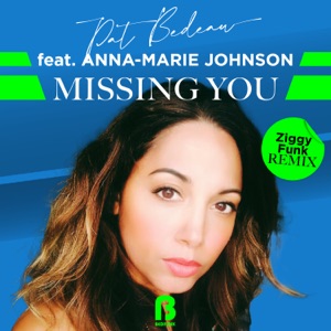 Missing You (Ziggy Funk Remixes) - EP