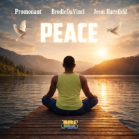PEACE (feat. BrodieDaVinci & Jesus Hartsfield) - Single - Promonant