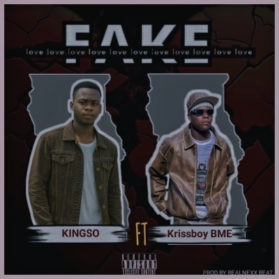 Fake Love (feat. Krissboy BME) - Single