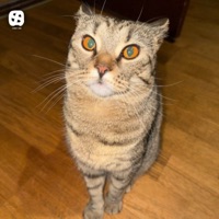 Montagem Kebros - EP - DJ VRX ORIGINAL & DJ AKAT DE LKM