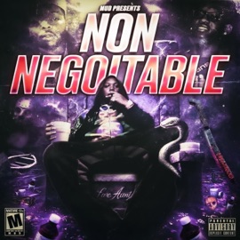 Love 2 Wrong People MudBrudda Bo