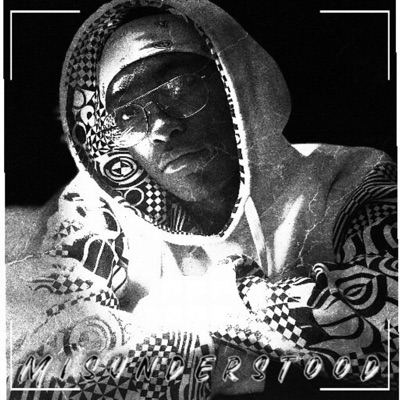 Misunderstood - Single