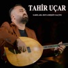 SARILARA BOYAMIŞSIN SAÇINI