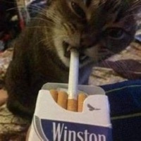 Robots with Pineal Glands - Single - Gasp