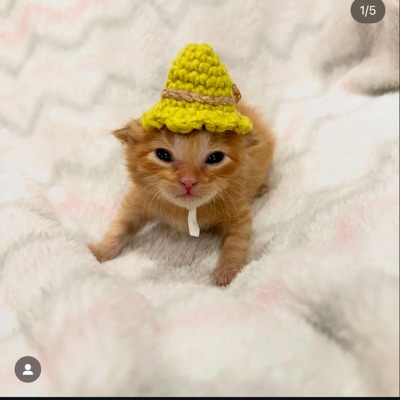 20keazyy - jewboyjacob the cup