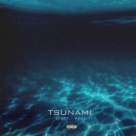 TSUNAMI Scarp & Muc4