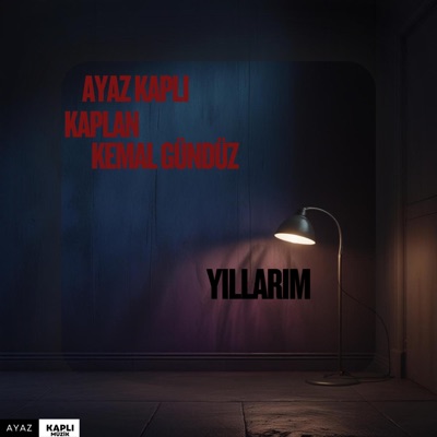 Yıllarım (feat. Kemal Gündüz) - Single
