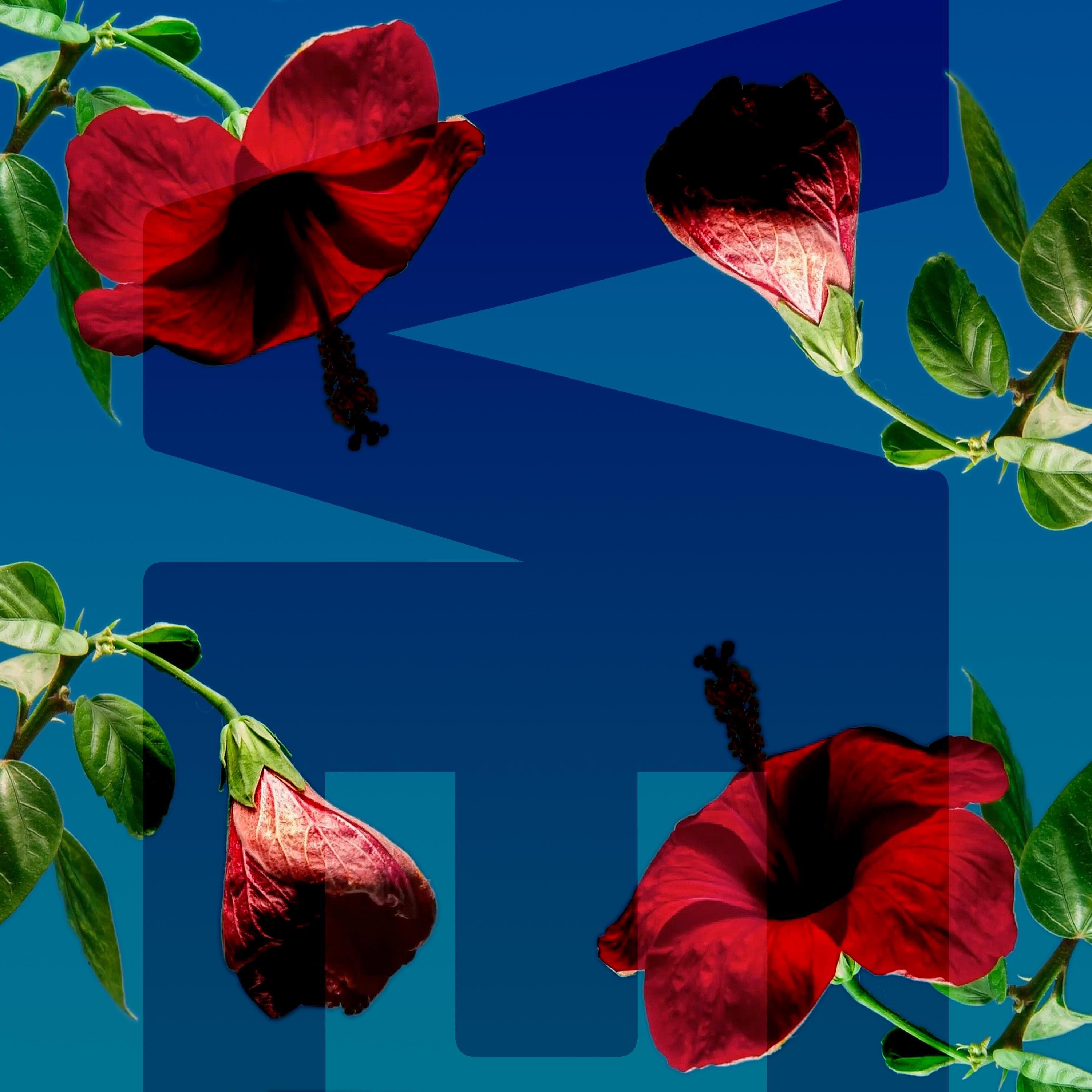 Before Again - Single