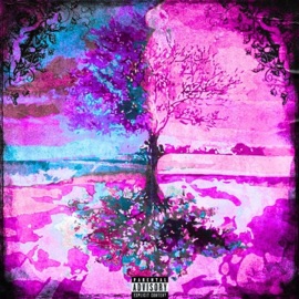 WYDTN (feat. Hølden) bl4cko