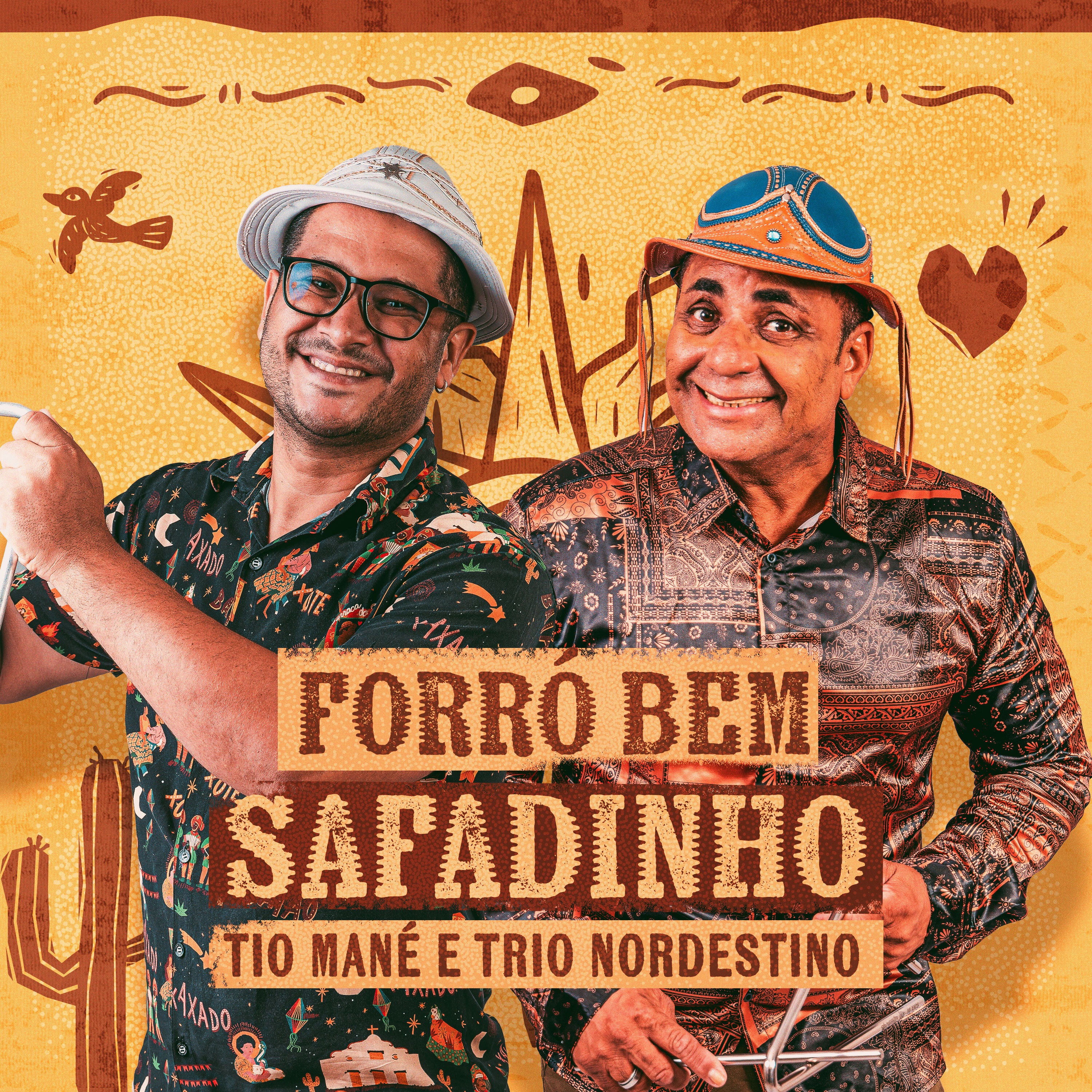 Forró Bem Safadinho - Single
