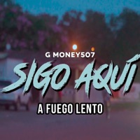 Sigo Aquí / A Fuego Lento - Single - G Money507